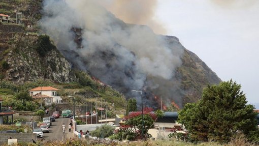 Incêndios: Vinte pessoas receberam apoio psicológico devido aos fogos na Madeira