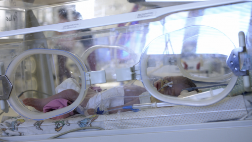 Israel: Falta de combustível coloca em risco 120 bebés prematuros em Gaza - UNICEF