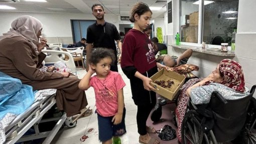 Israel: Ataques ao hospital Al-Shifa intensificaram-se durante a noite - ONG