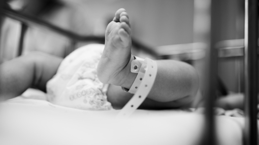 Israel: Seis bebés prematuros e nove pacientes morreram no hospital al-Shifa - Novo balanço