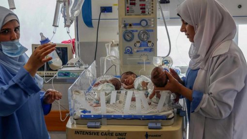 Israel: Vinte e nove bebés prematuros que estavam no maior hospital de Gaza chegaram ao Egito