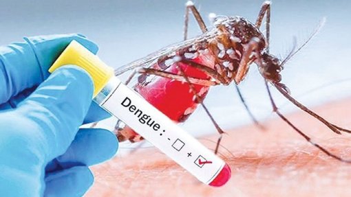 Cabo Verde regista sete casos de dengue – ministra