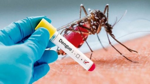 Capital de Cabo Verde realiza nova grande campanha de limpeza para prevenir dengue