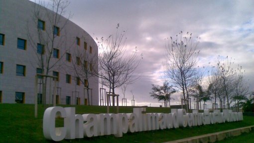 Fundação Champalimaud recebe mais 50 milhões de euros para investigar cancro do pâncreas