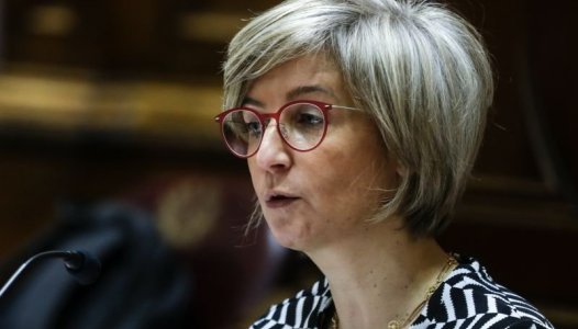 Ex-ministra diz que não deu orientações sobre tratamento das gémeas luso-brasileiras
