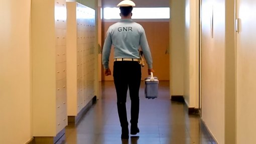GNR realizou 315 transportes de órgãos em 2023, mais 54 do que no ano anterior