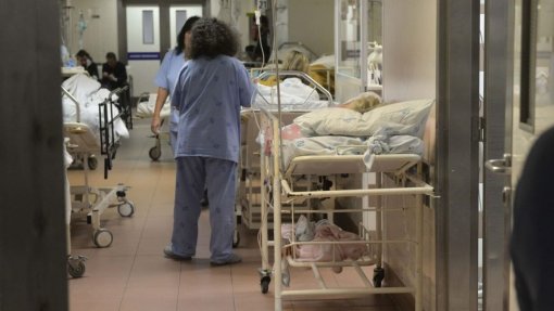 Ordem dos Enfermeiros responsabiliza Direção Executiva do SNS por caos nas urgências