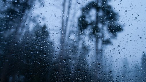 Mau tempo: Portugal continental com 293 ocorrências entre as 14h00 e as 7h00