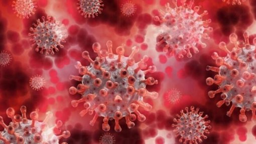 Covid-19: Sistema imunitário evolui após infeção pela variante Ómicron - estudo