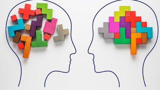 IA identifica que cérebros de homens e mulheres estão organizados de forma diferente