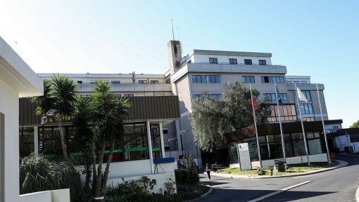 Corpo encontrado em mata perto do Hospital S. Francisco Xavier em Lisboa