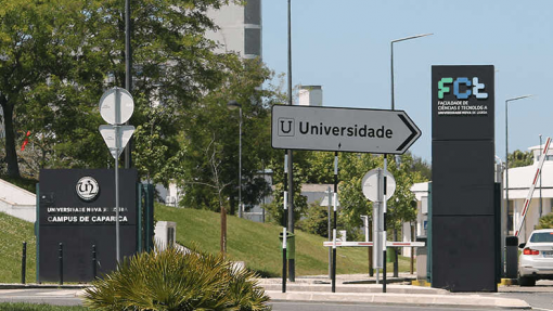 Teste rápido à malária vence primeiro prémio de programa da Universidade Nova