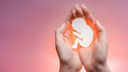 Aborto: Hospitais devem contratar médicos sem objeção de consciência - UMAR