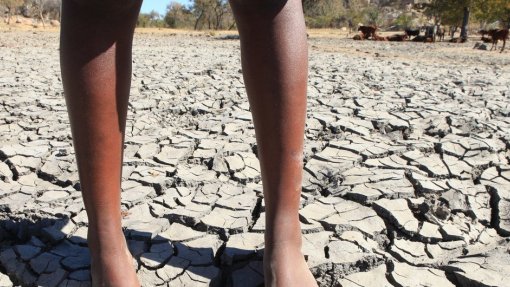 Crise climática vai piorar conflitos, sobretudo em África - relatório