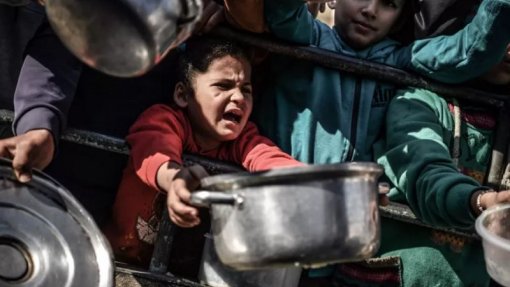 Israel: Metade dos habitantes da Faixa de Gaza está em situação de fome catastrófica - ONU