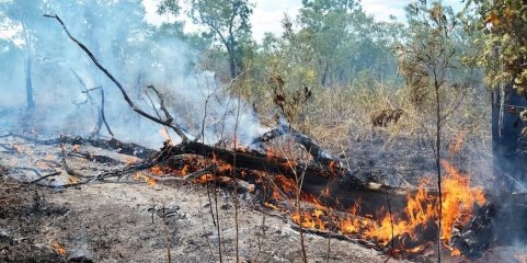 MADEIRA: Mais de 60 colaboradores do Serviço Regional de Saúde tiveram formação em combate a incêndios