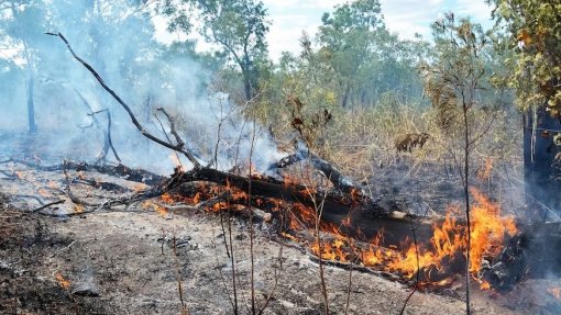 MADEIRA: Mais de 60 colaboradores do Serviço Regional de Saúde tiveram formação em combate a incêndios