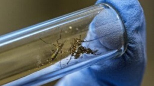 Alterações climáticas estimulam propagação de doenças infecciosas – estudo