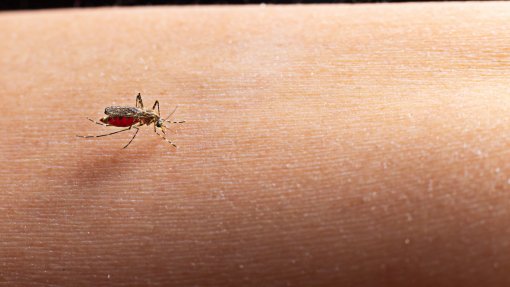 Brasil supera dois milhões de casos de dengue e bate recorde histórico