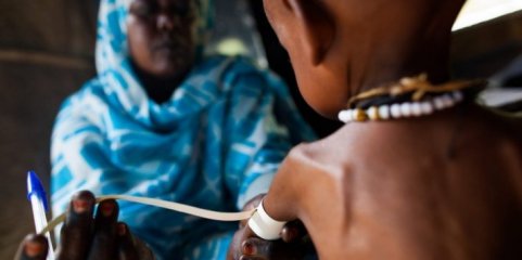 Japão dá 30,6 ME ao Programa Alimentar Mundial para ajudar África Subsariana