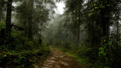 Alunos da Amazónia partilham em Ourém experiências sobre ambiente