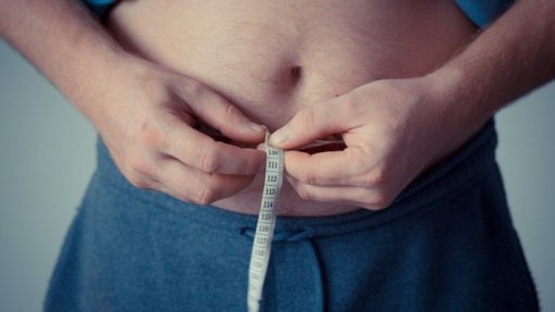 Bactérias intestinais que mais influenciam a obesidade diferem em homens e mulheres - Estudo