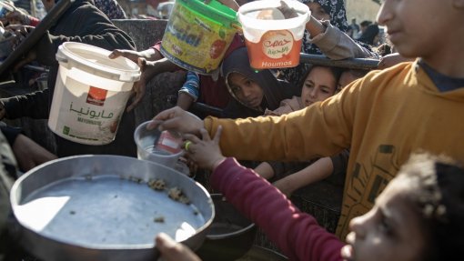 População do norte de Gaza com menos de 12% das calorias necessárias