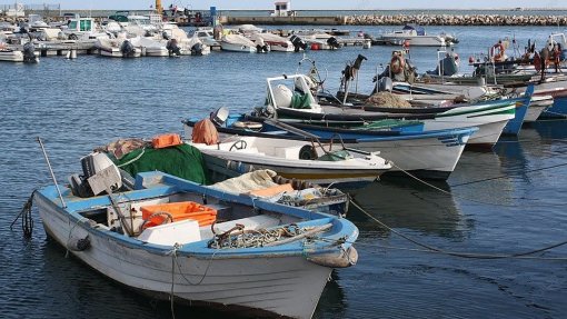 Dessalinizadora no Algarve será tragédia que tira sustento a muitas famílias - Pescadores