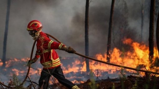 MAI promete ouvir bombeiros e garante meios de combate a incêndios