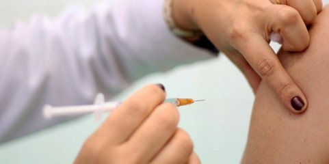 Peritos pretendem propor ao Governo criação do Programa de Vacinação para adultos