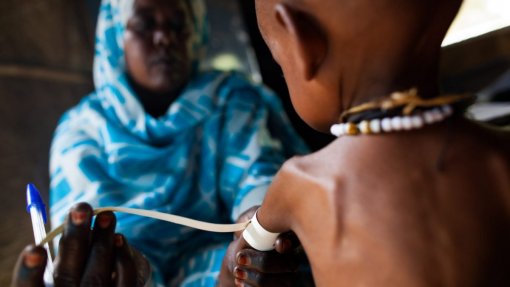 Três em 10 crianças da província angolana da Huíla sofrem de desnutrição - ONG