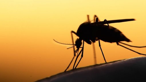 Malária em fase de controlo e redução de óbitos em Angola - World Vision