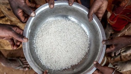 A &quot;magnitude&quot; da crise alimentar &quot;agravou-se&quot; em Moçambique em 2023 - Relatório