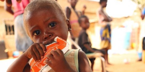 Insegurança alimentar aguda afetou 1,3 milhões de angolanos em 2023 e pode piorar - Relatório
