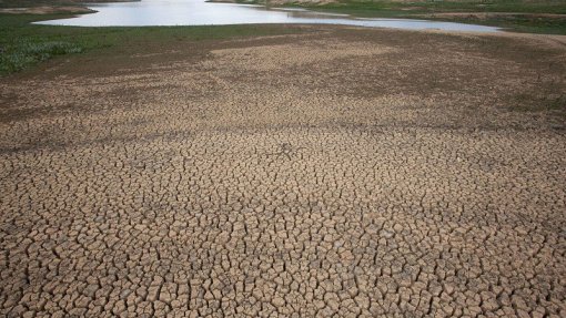 Alterações climáticas principal causa da perda de biodiversidade em 2050 - estudo