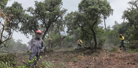 Incêndios: Governo prorroga até 31 de maio prazo para limpeza de terrenos rurais e florestais