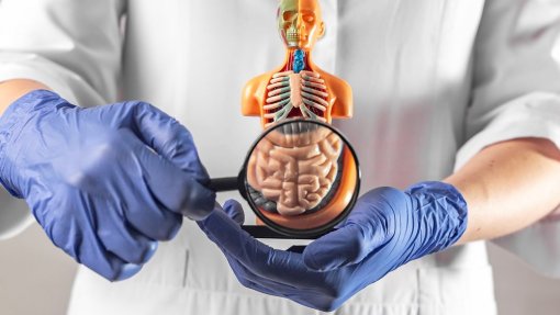 Gastroenterologistas e doentes alertam para dificuldades no acesso a consultas e exames