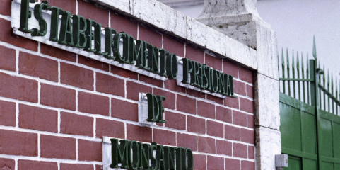 Prisão de Monsanto acolhe projeto informático ligado ao Serviço Nacional de Saúde