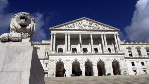 Caso gémeas: Partidos podem pedir até terça-feira audições na comissão de inquérito
