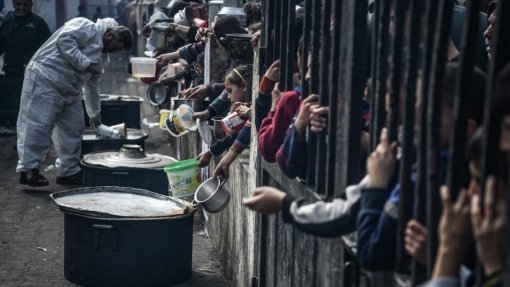 Médio Oriente: Dezenas de camiões de ajuda humanitária entram em Gaza vindos do Egito