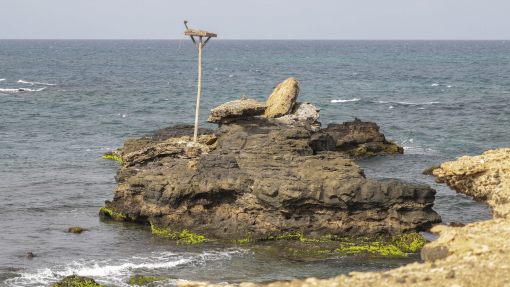 ONU doa 2,7 ME a Cabo Verde para ajudar a gerir biodiversidade