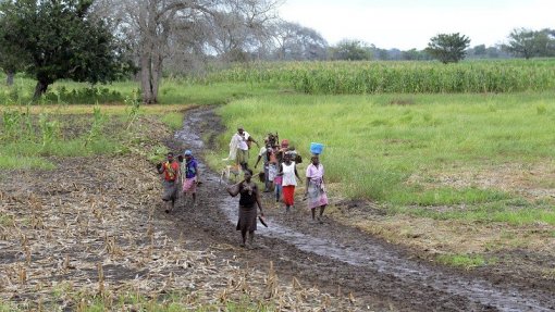Insegurança alimentar atinge cerca de mil famílias em distrito no sul de Moçambique