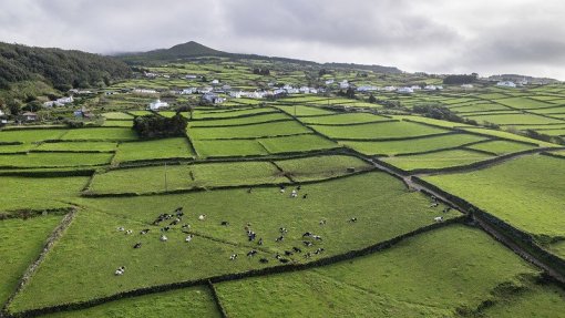 Mau tempo provoca 44 ocorrências na Terceira, São Miguel e Pico
