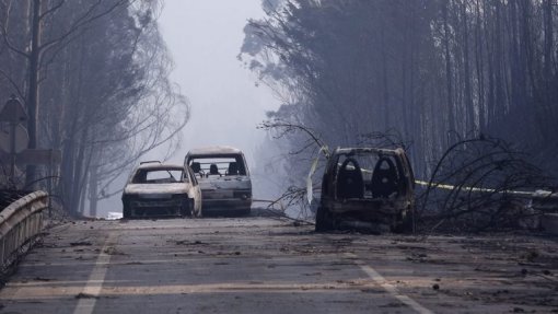 Pedrógão Grande: Sete anos depois do trágico incêndio muito falta fazer no terreno