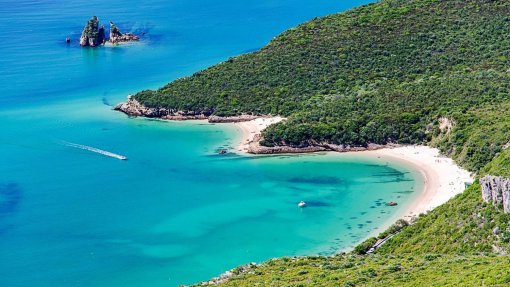 Classificação da Arrábida como Reserva da Biosfera seria “discriminação positiva” – presidente do ICNF