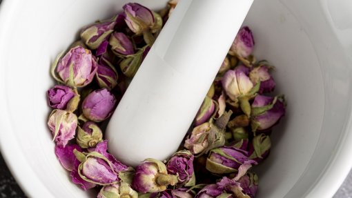 Investigadores do Porto exploram beneficíos das flores comestíveis para a saúde