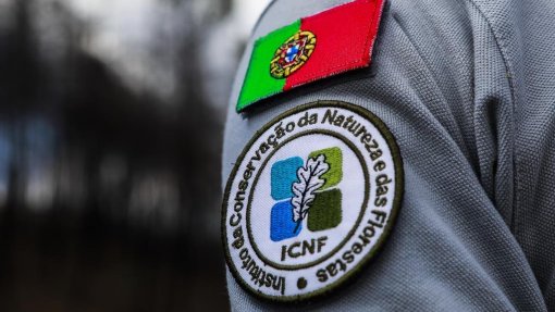Governo reforça campanha de prevenção contra incêndios rurais com 750 mil euros