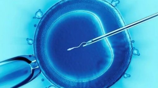 Morreu mãe do primeiro bebé concebido por fertilização &#039;in vitro&#039; em Portugal