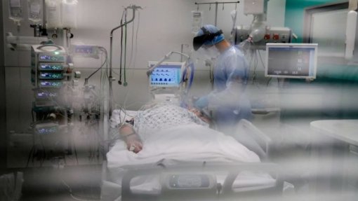ECMO pode aumentar número e qualidade dos órgãos para transplante em Portugal - estudo