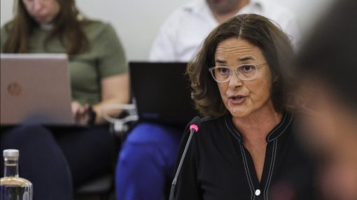 Caso gémeas: Processo foi tratado de forma idêntica a outros - Maria João Ruela